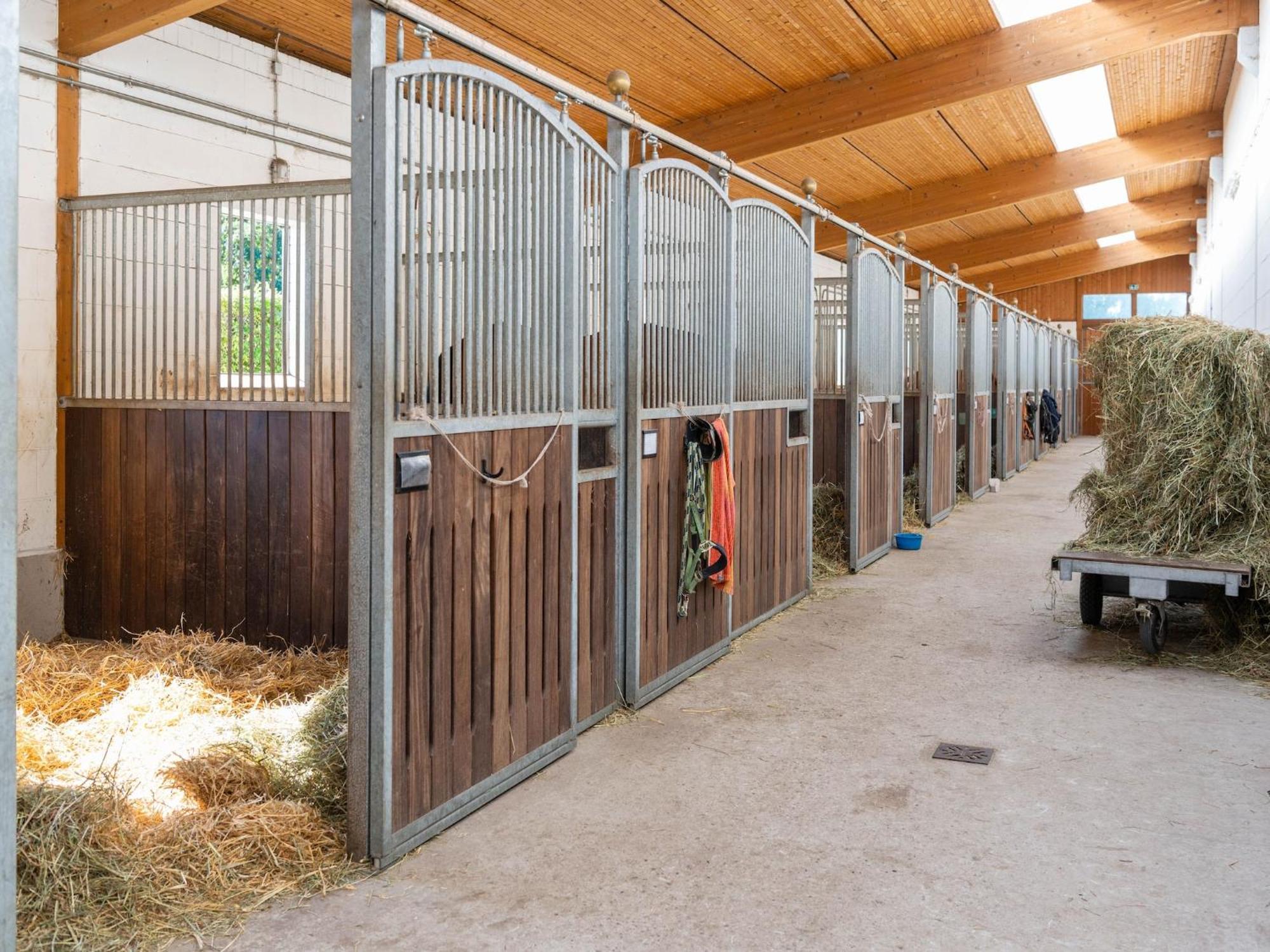 Holiday Home On A Horse Farm In The L Neburg Heath Eschede Exterior foto